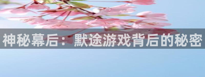 广州im电竞电子商务：神秘幕后：默途游戏背后的秘密
