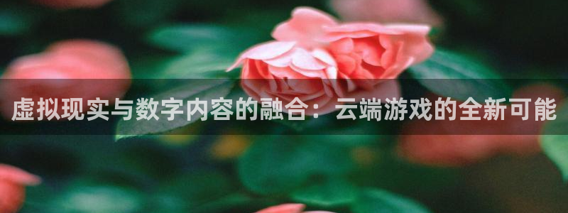 im电竞子猫图片：虚拟现实与数字内容的融合：云端游戏的全新可能