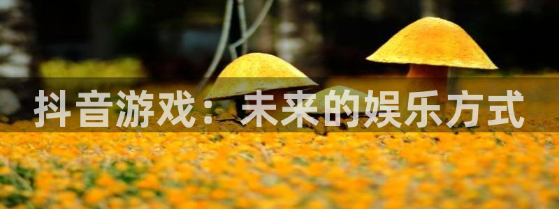 im电竞子经理人杂志：抖音游戏：未来的娱乐方式