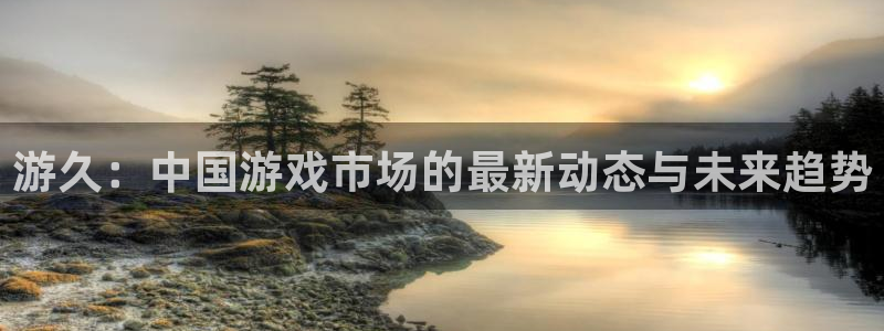 im电竞官网平台注册账号注意事项：游久：中国游戏市场的最新动态与未来趋势