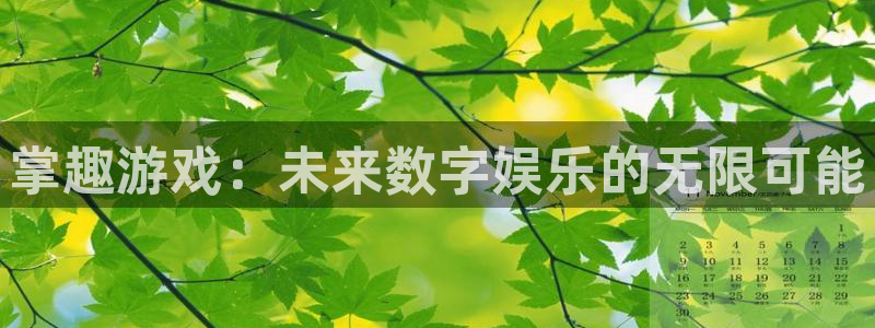 我想看im电竞：掌趣游戏：未来数字娱乐的无限可能