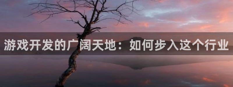 江苏im电竞智得：游戏开发的广阔天地：如何步入这个行业