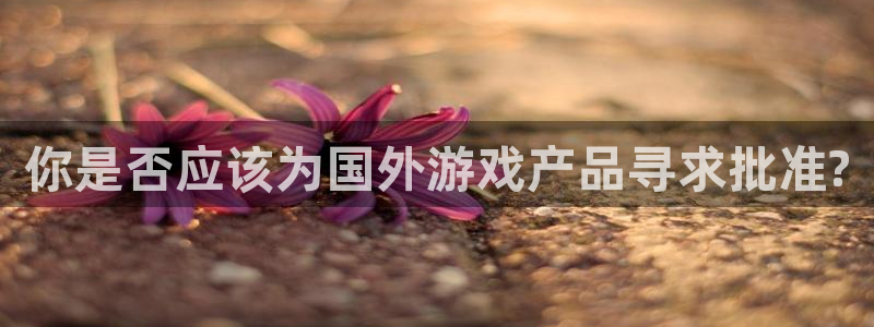im电竞子签约作家：你是否应该为国外游戏产品寻求批准?
