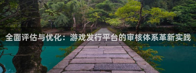 东莞im电竞信息科技有限公司：全面评估与优化：游戏发行平台的审核体系革新实践