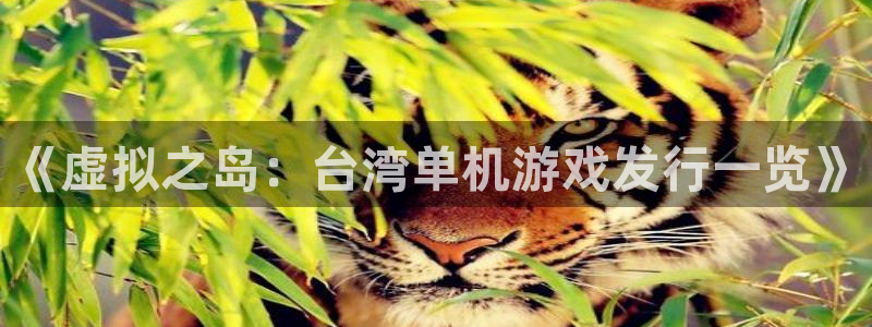im电竞官网登录注册账号是什么意思：《虚拟之岛：台湾单机游戏发行一览》