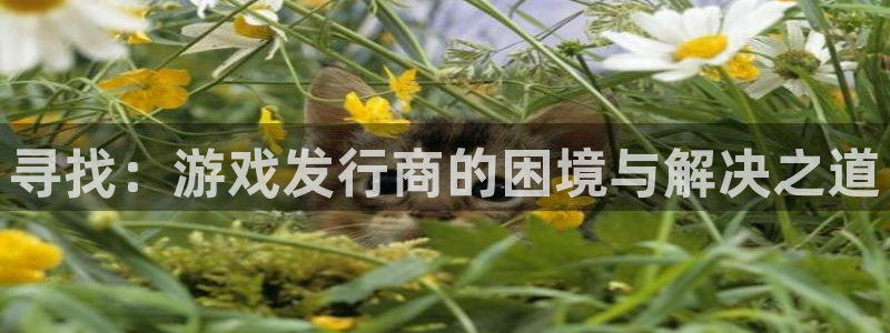 im电竞集团董事长刘一辰简历：寻找：游戏发行商的困境与解决之道