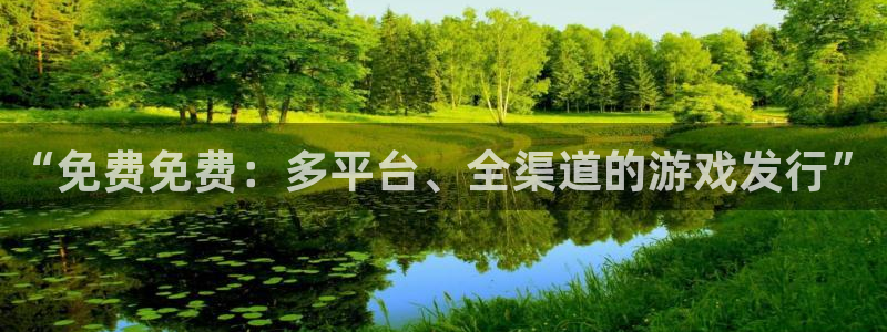 im电竞官网登录注册不了账号：“免费免费：多平台、全渠道的游戏发行”