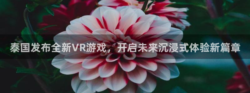 im电竞官网登录注册账号失败：泰国发布全新VR游戏，开启未来沉浸式体验新篇章