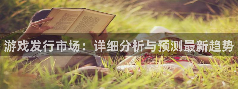 im电竞商标：游戏发行市场：详细分析与预测最新趋势