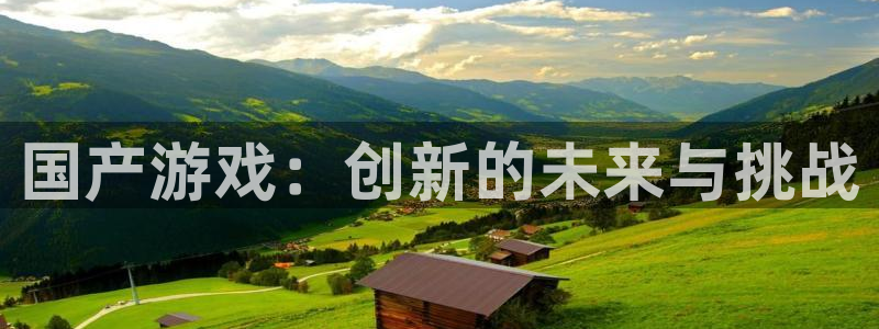 im电竞官网登录注册账号失败怎么办：国产游戏：创新的未来与挑战