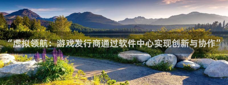 im电竞官网注册平台是什么意思：“虚拟领航：游戏发行商通过软件中心实现创新与协作”