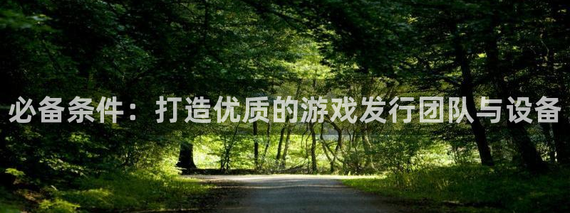 广东im电竞电子商务有限公司：必备条件：打造优质的游戏发行团队与设备