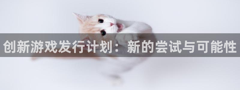 im电竞子上市了吗：创新游戏发行计划：新的尝试与可能性