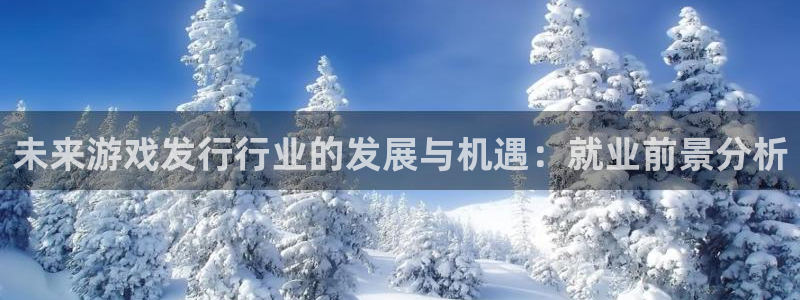 im电竞官网平台是骗局吗：未来游戏发行行业的发展与机遇：就业前景分析