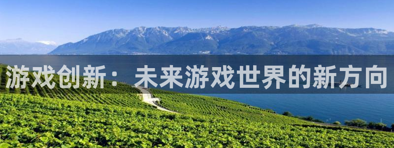 im电竞子怎么样：游戏创新：未来游戏世界的新方向
