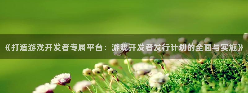 im电竞官网注册地址在哪里查：《打造游戏开发者专属平台：游戏开发者发行计划的全面与实施》