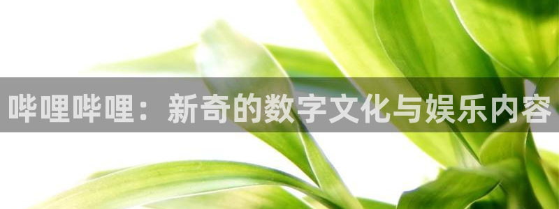 im电竞电商怎么样知乎：哔哩哔哩：新奇的数字文化与娱乐内容