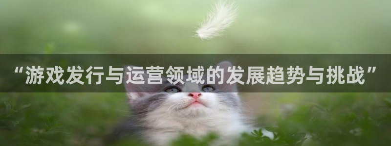 im电竞官网平台是骗局吗