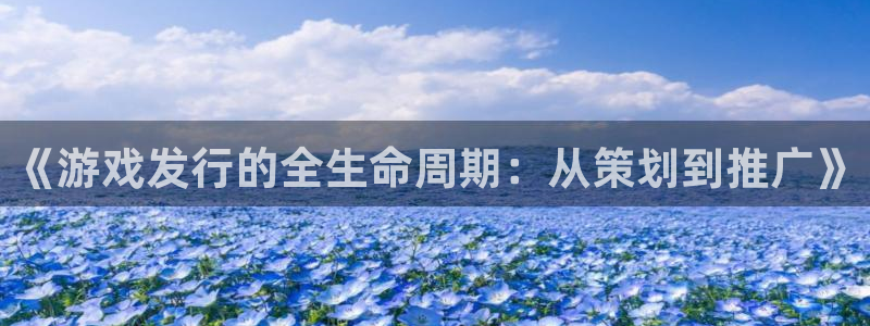 im电竞官网分红