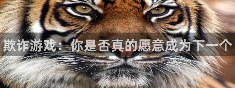 im电竞技术有限公司：欺诈游戏：你是否真的愿意成为下一个
