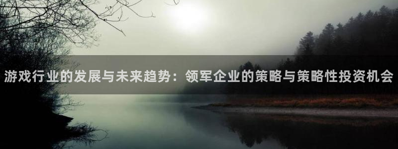 im电竞官网登录注册失败怎么回事：游戏行业的发展与未来趋势：领军企业的策略与策略性投资机会