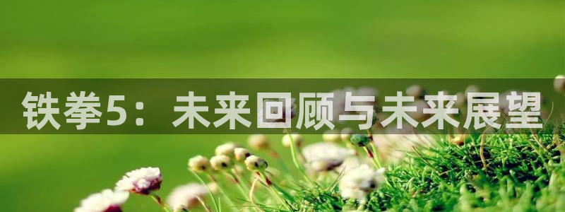 im电竞工坊：铁拳5：未来回顾与未来展望