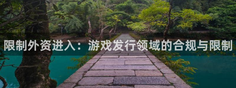 im电竞官网注册地址：限制外资进入：游戏发行领域的合规与限制