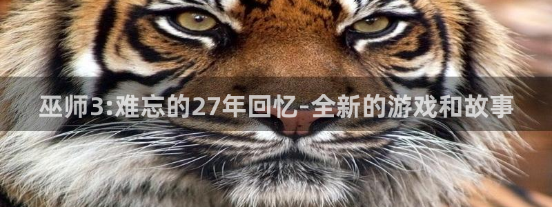 im电竞军团是哪个国家队